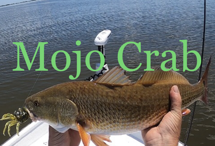 http://mojotackle.com/cdn/shop/products/Viewrecentphotos_1.png?v=1656202725
